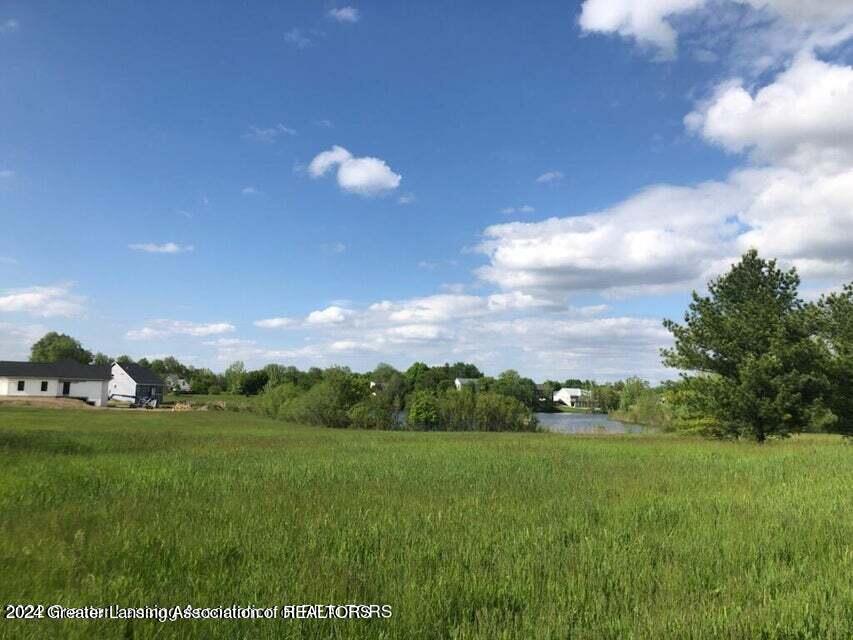 707 Landbridge Perry, MI 48872 - Photo 6 of 7 Stop sign view