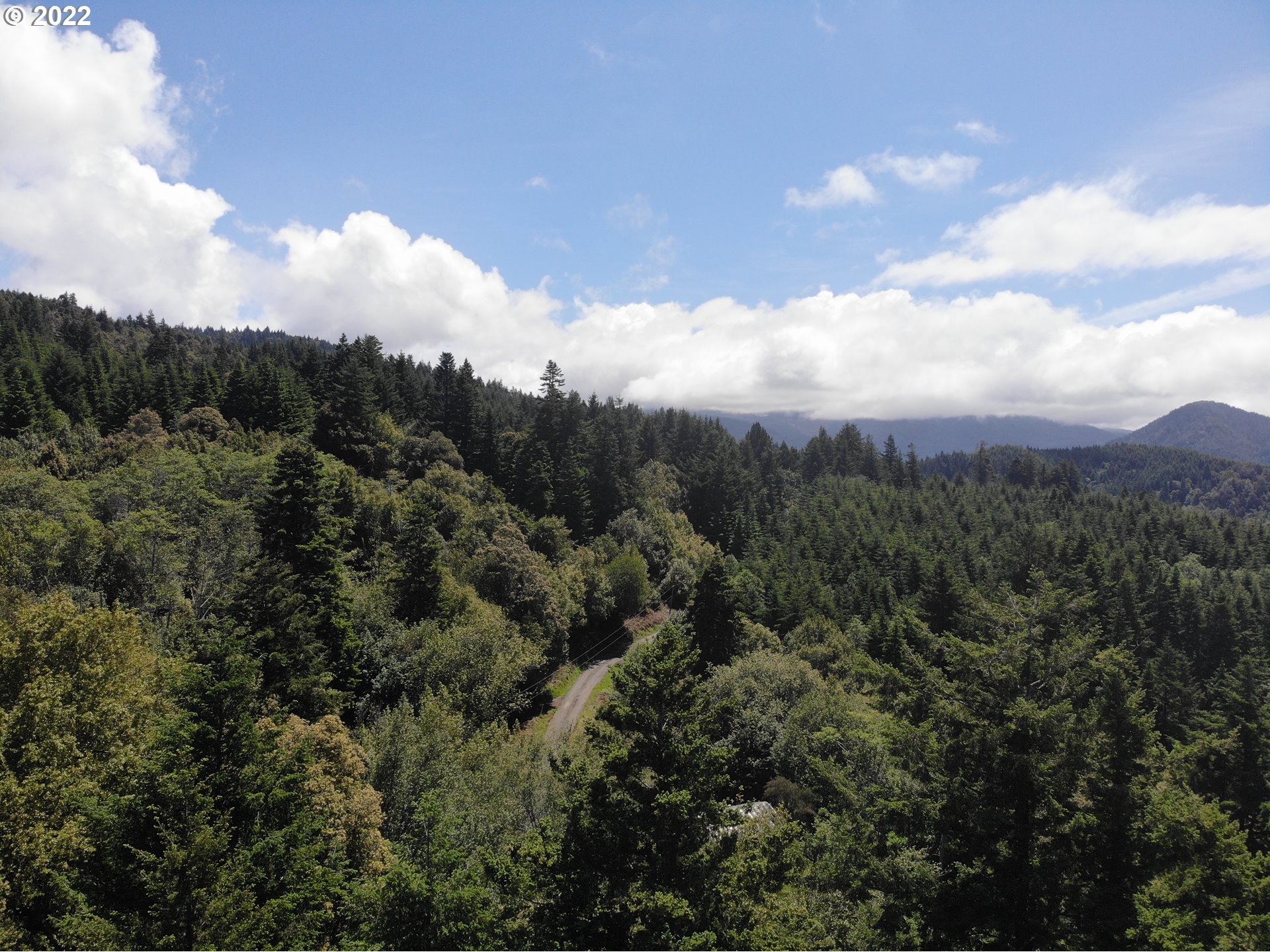 Skyview, Unit 101 Gold Beach, OR 97444 - Photo 6 of 16 a view of a city and a forest