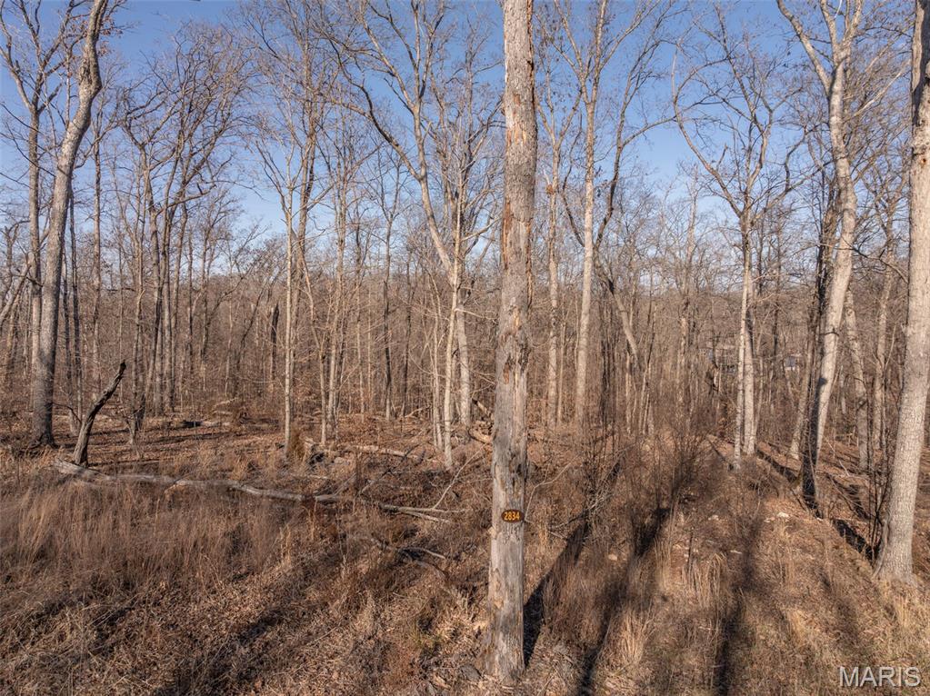 2834 Tyrolean Way Drive Innsbrook, MO 63390 - Photo 4 of 6