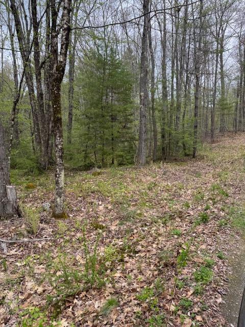 0 Heidi Way Raymond, ME 04071 - Photo 2 of 4 IMG_0775 (1)