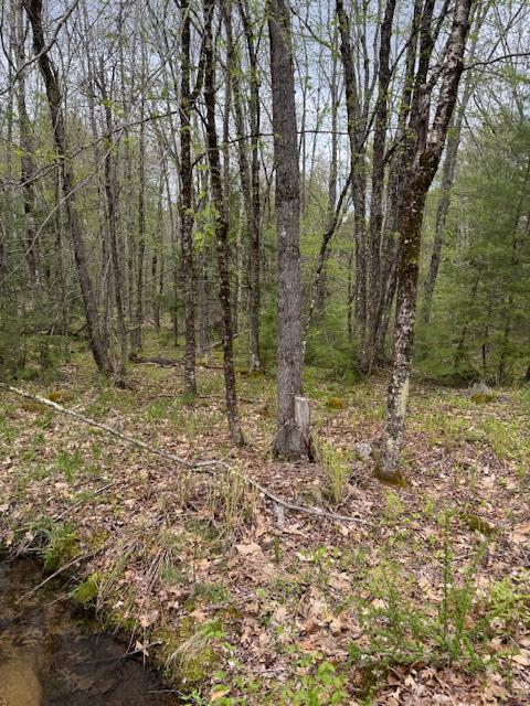 0 Heidi Way Raymond, ME 04071 - Photo 3 of 4 IMG_0776