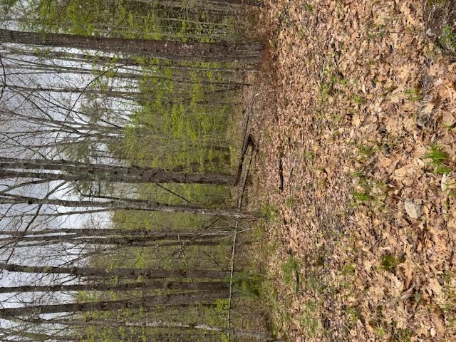 0 Heidi Way Raymond, ME 04071 - Photo 4 of 4 IMG_0777