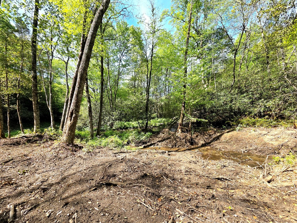 795 Porter Field Gap Road Robbinsville, NC 28771 - Photo 65 of 105