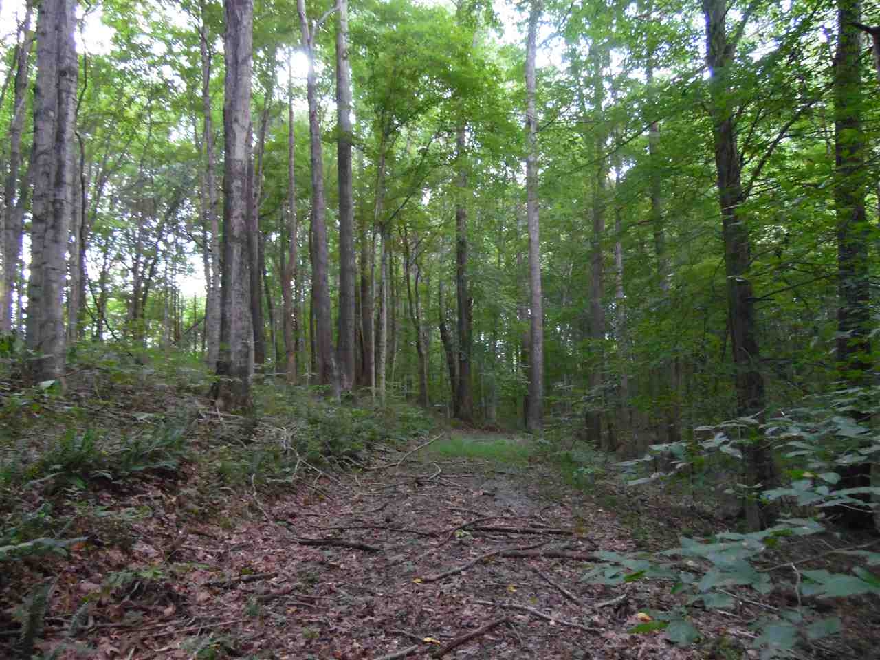 2289 Pea Ridge Road Scottsville, KY 42164 - Photo 2 of 6 Gallery Image 2