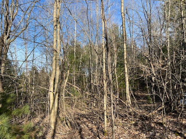 0 Burnt Hill Road Cadyville, NY 12918 - Photo 5 of 5