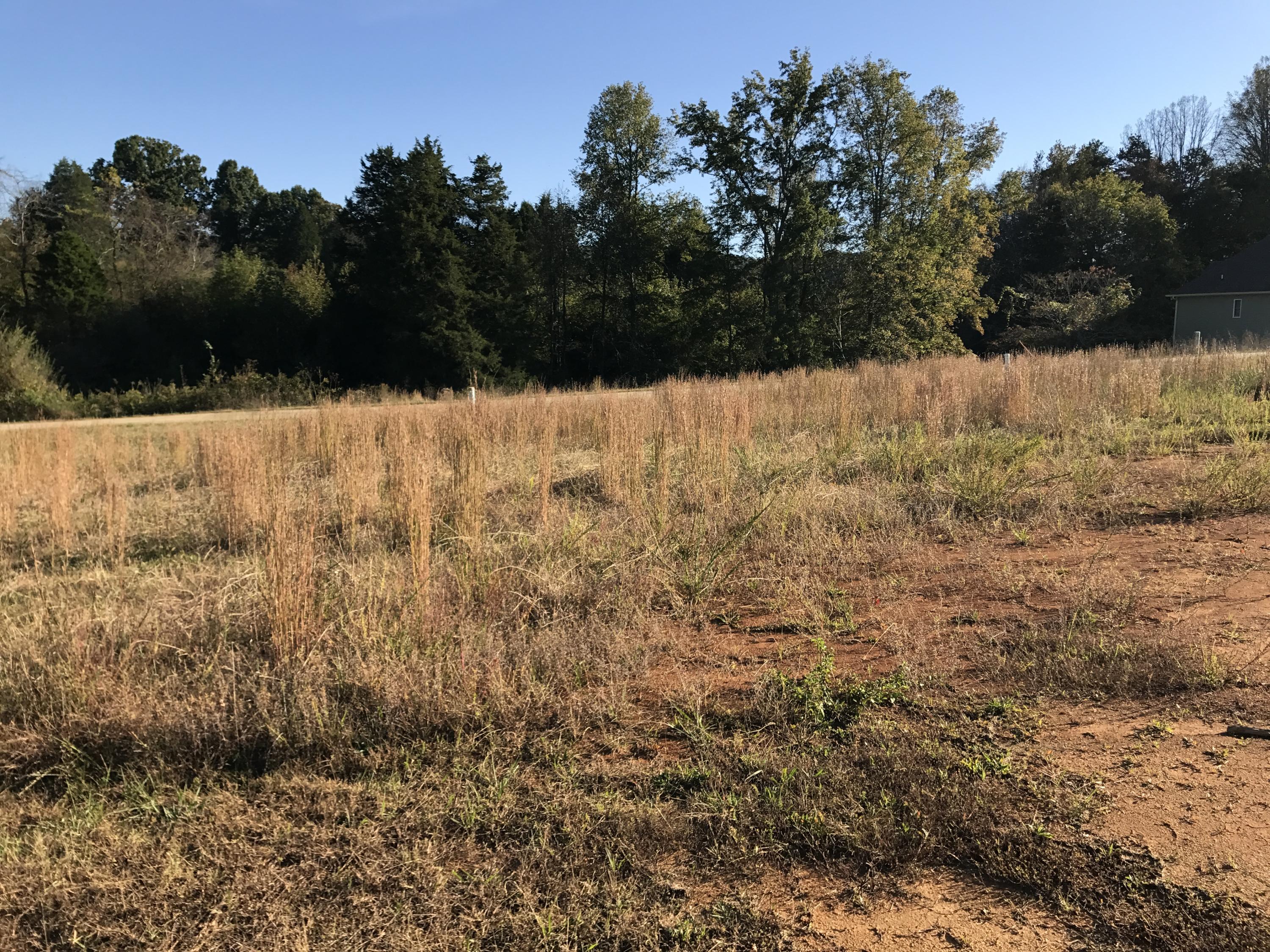 Lot#70 R Tempura Drive Oak Ridge, TN 37830 - Photo 3 of 3 IMG_1049