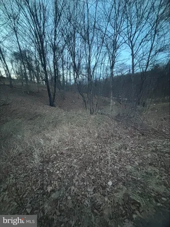 $25,000 | Lost Run, Levels, WV 25431