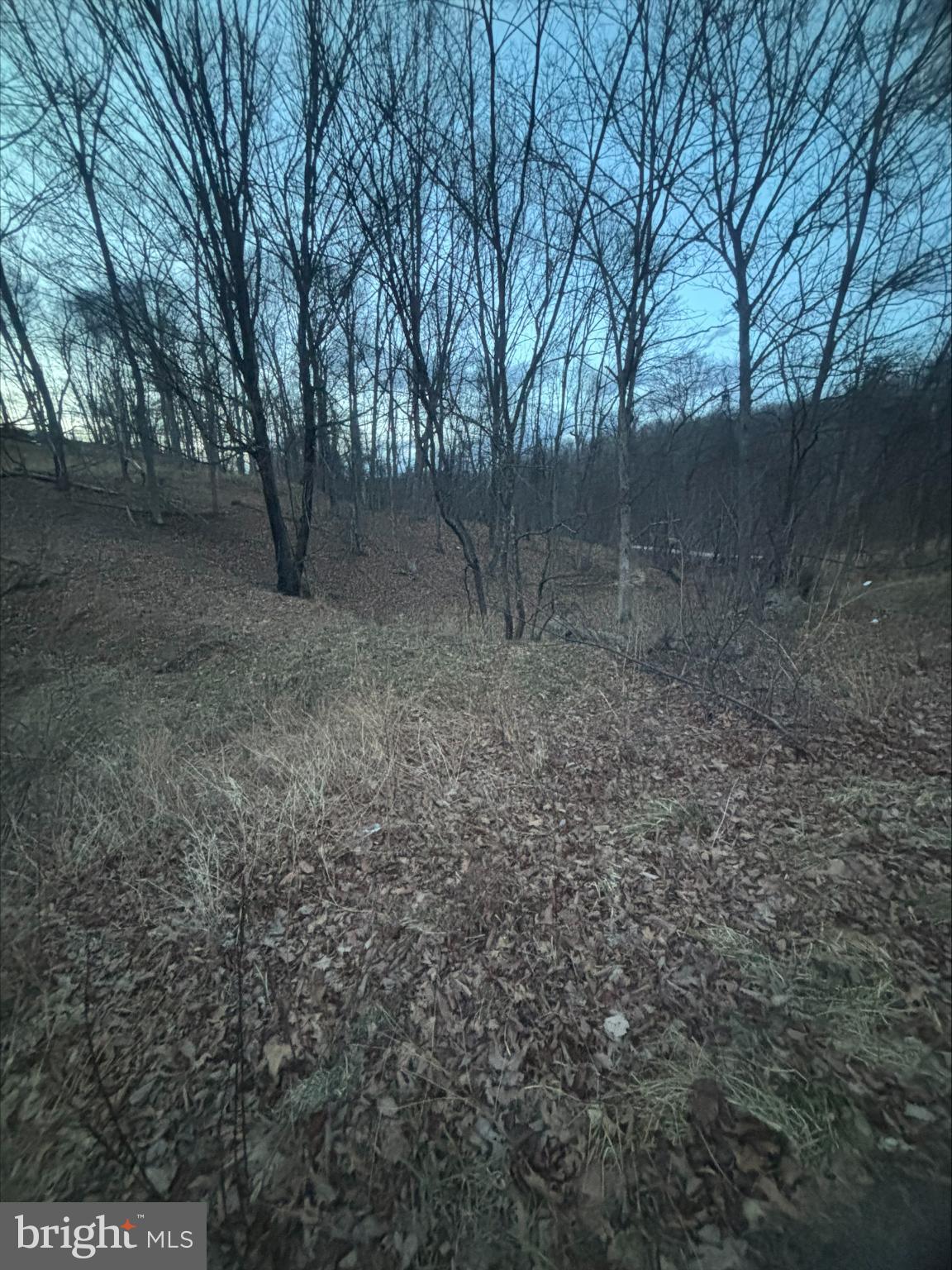 Lost Run Levels, WV 25431 - Photo 2 of 9 Serene woodland landscape at twilight.