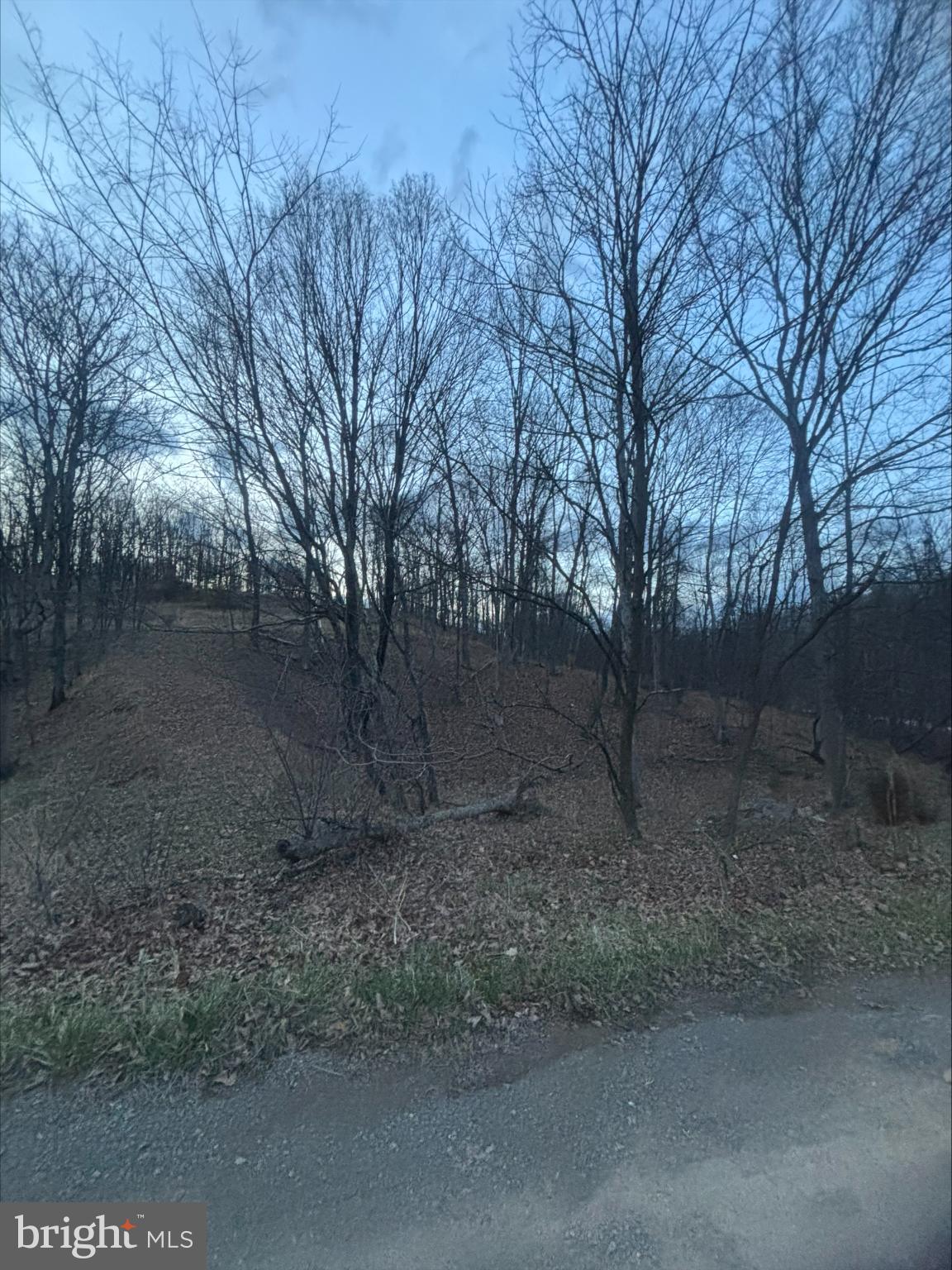 Lost Run Levels, WV 25431 - Photo 3 of 9 Serene woodland landscape at dusk.