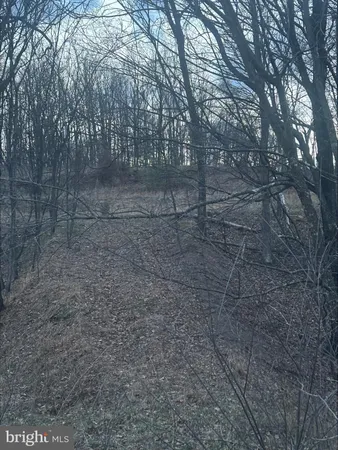 $25,000 | Lost Run, Levels, WV 25431
