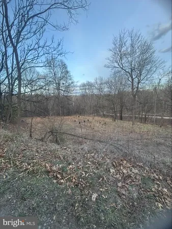 $25,000 | Lost Run, Levels, WV 25431