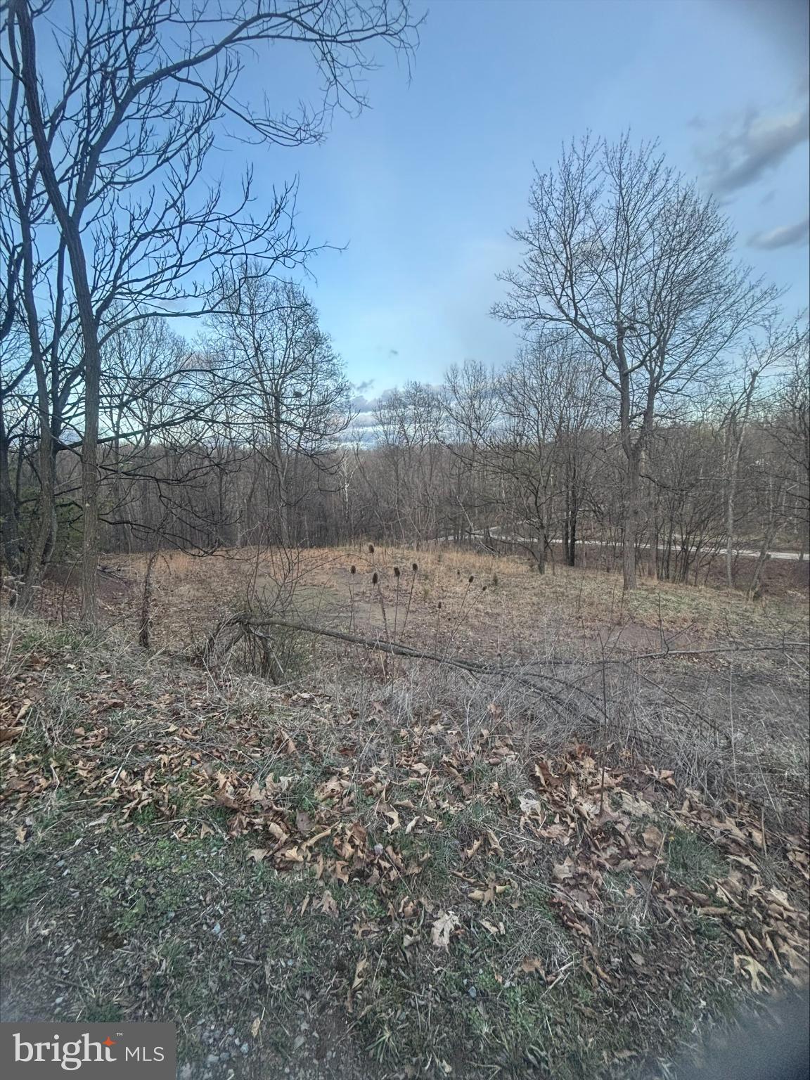 Lost Run Levels, WV 25431 - Photo 8 of 9 Serene woodland landscape in early spring.