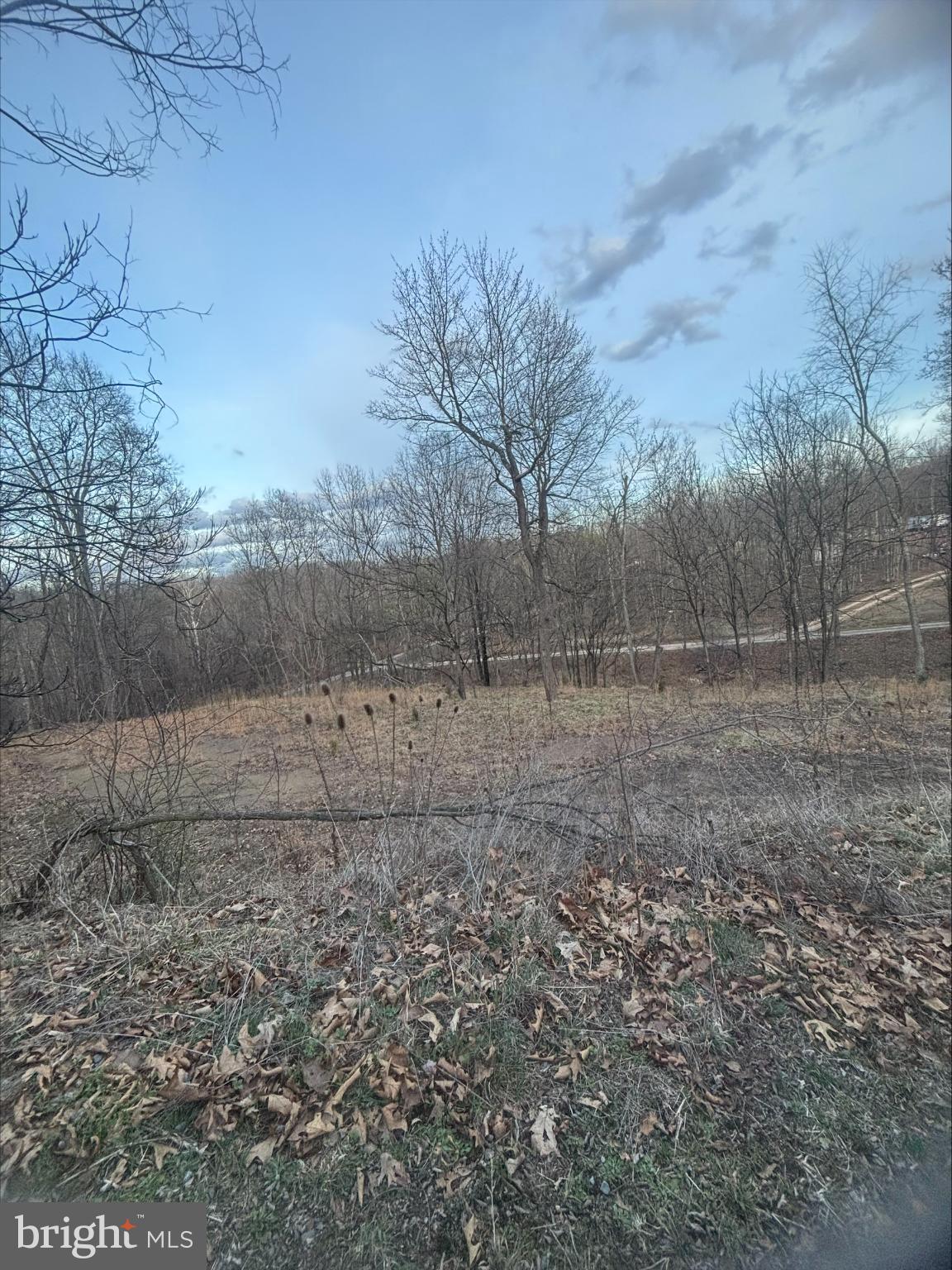 Lost Run Levels, WV 25431 - Photo 9 of 9 Serene landscape with bare trees and sky.