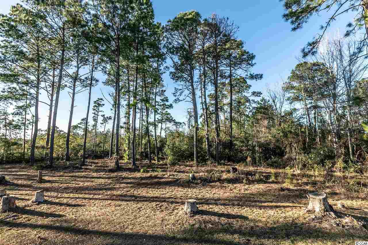 962 Jamestown Road Conway, SC 29526 - Photo 6 of 34 Gallery Image 6