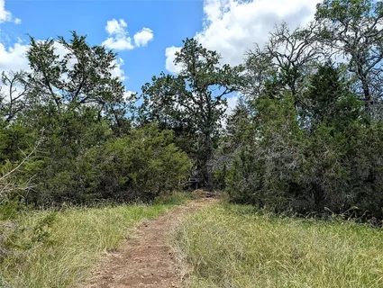a view of outdoor space and trees all around