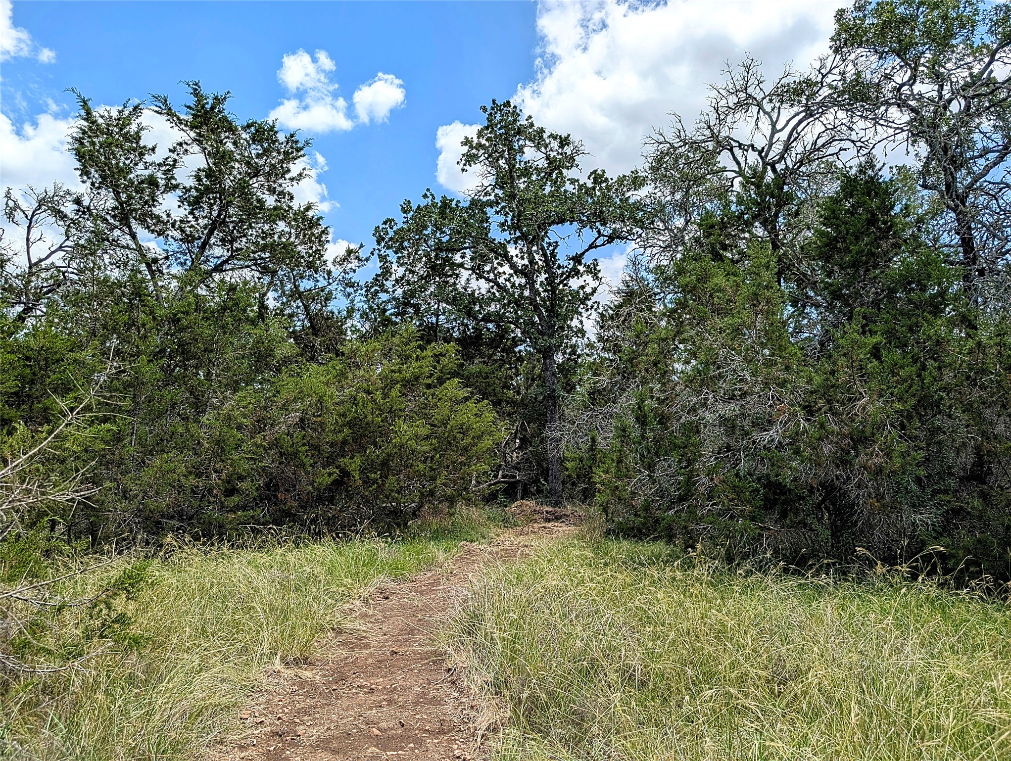 2105 Chaparral Park Road Manchaca, TX 78652 - Photo 11 of 18 a view of an outdoor space and a yard