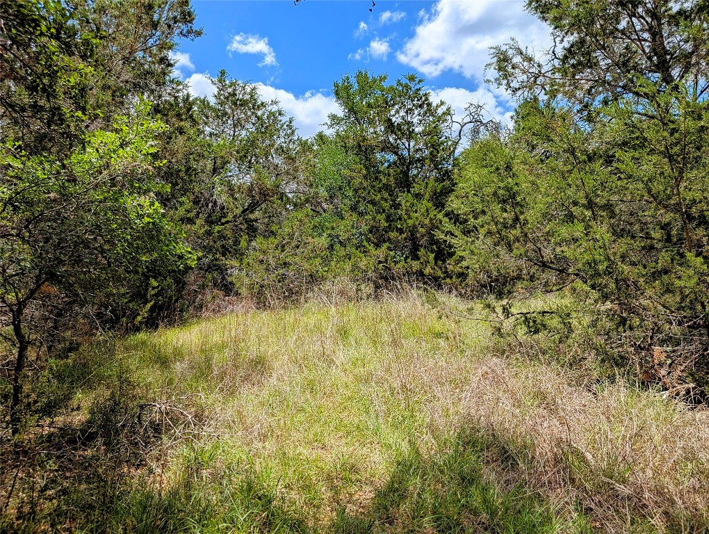 2105 Chaparral Park Road Manchaca, TX 78652 - Photo 17 of 18 a view of a yard
