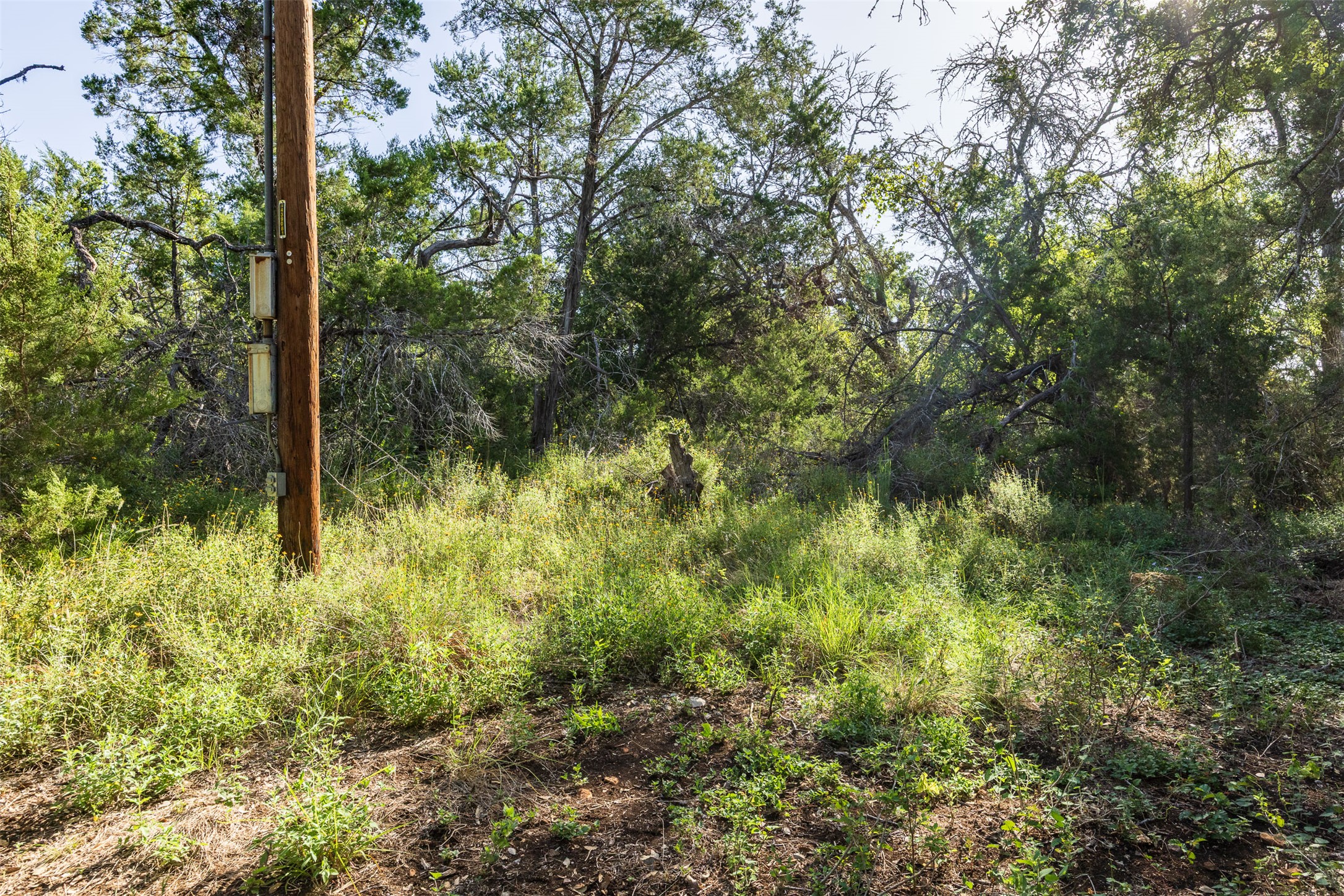 2105 Chaparral Park Road Manchaca, TX 78652 - Photo 6 of 18 a view of a garden