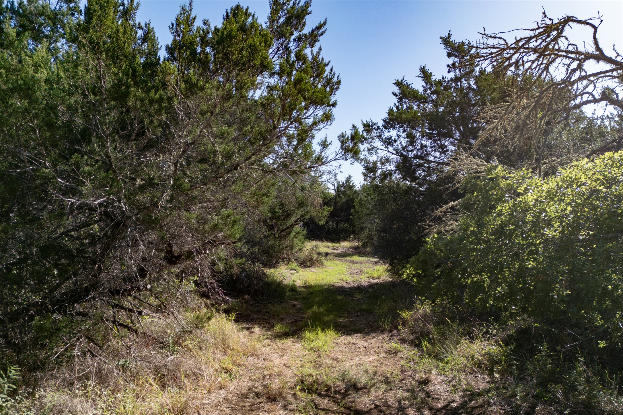 2105 Chaparral Park Road Manchaca, TX 78652 - Photo 9 of 18 a view of a small pond with trees
