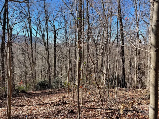 $95,000 | 9999-1 Nesbitt Chapel Road, Fairview, NC 28730