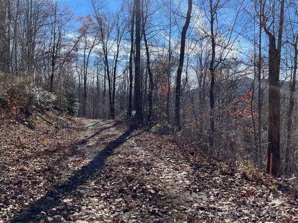 $95,000 | 9999-1 Nesbitt Chapel Road, Fairview, NC 28730