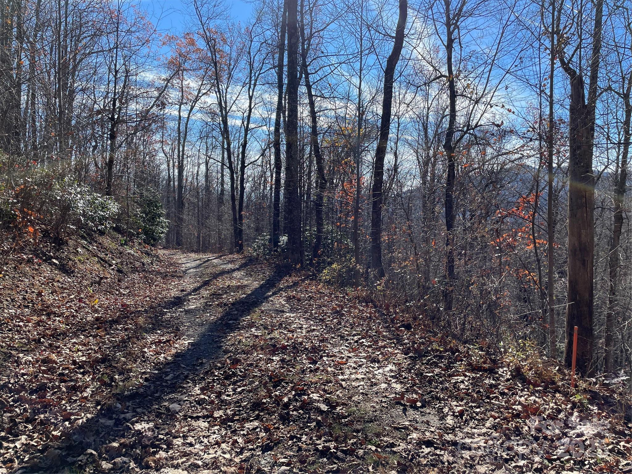 9999-1 Nesbitt Chapel Road Fairview, NC 28730 - Photo 11 of 20