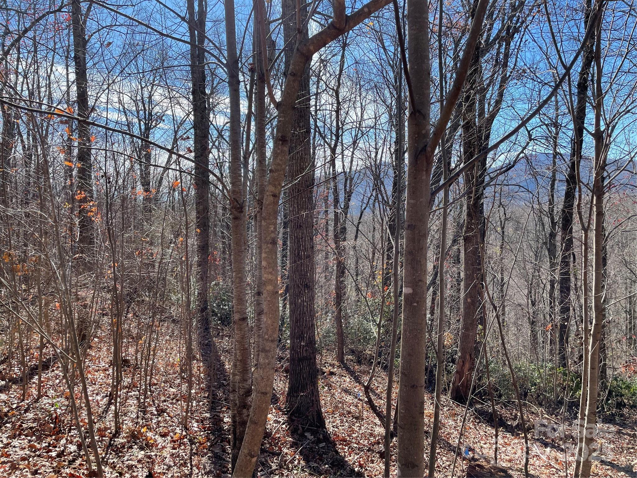 9999-1 Nesbitt Chapel Road Fairview, NC 28730 - Photo 12 of 20