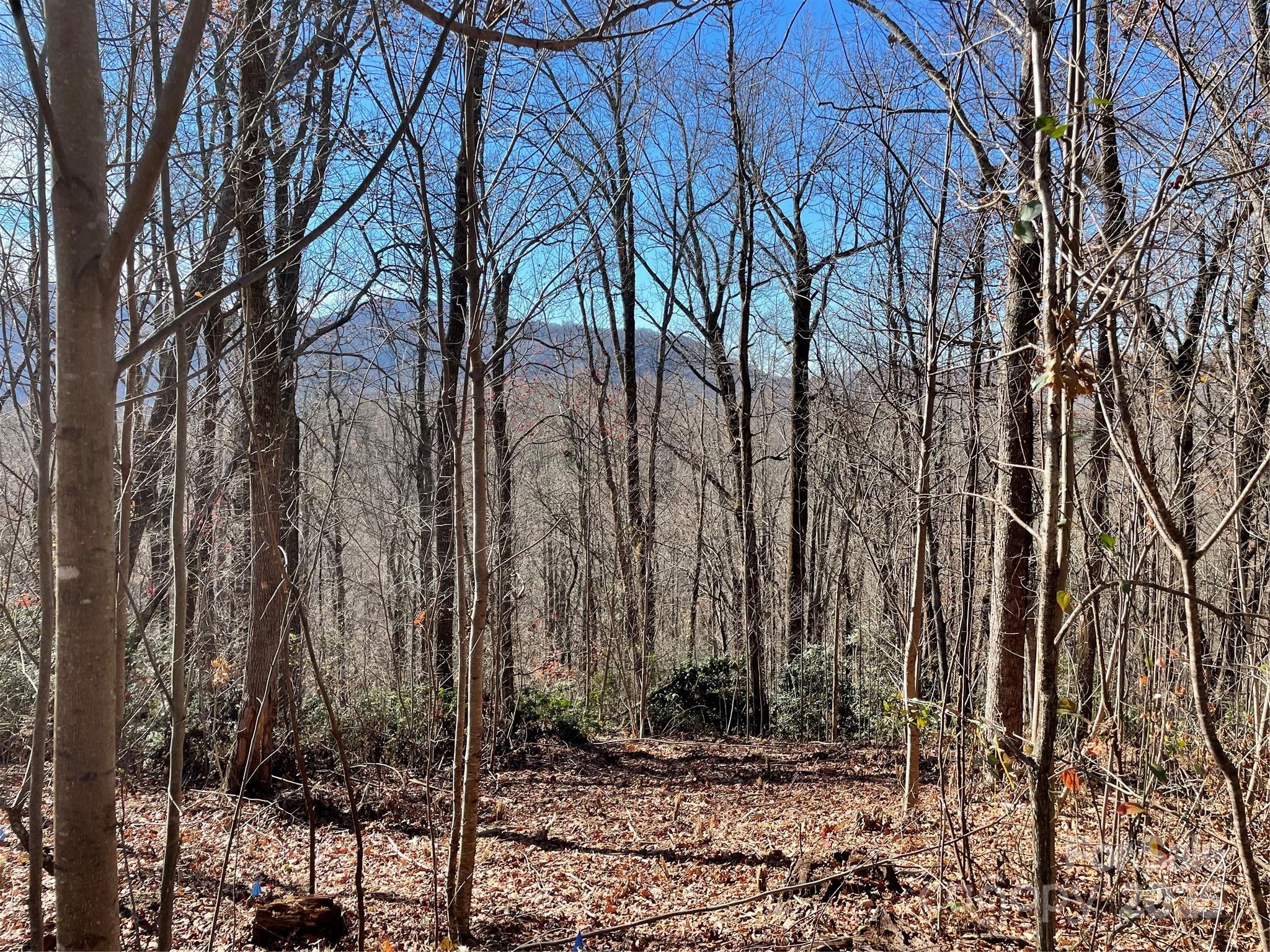 9999-1 Nesbitt Chapel Road Fairview, NC 28730 - Photo 13 of 20