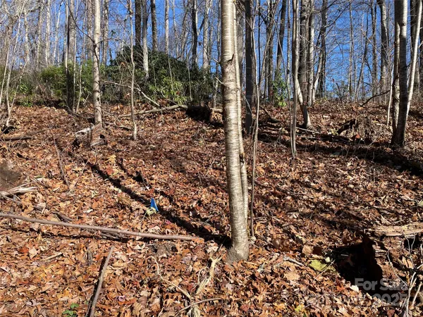 $95,000 | 9999-1 Nesbitt Chapel Road, Fairview, NC 28730