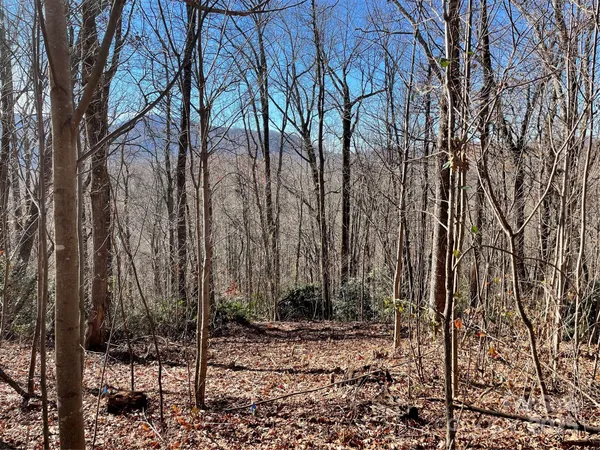 $95,000 | 9999-1 Nesbitt Chapel Road, Fairview, NC 28730