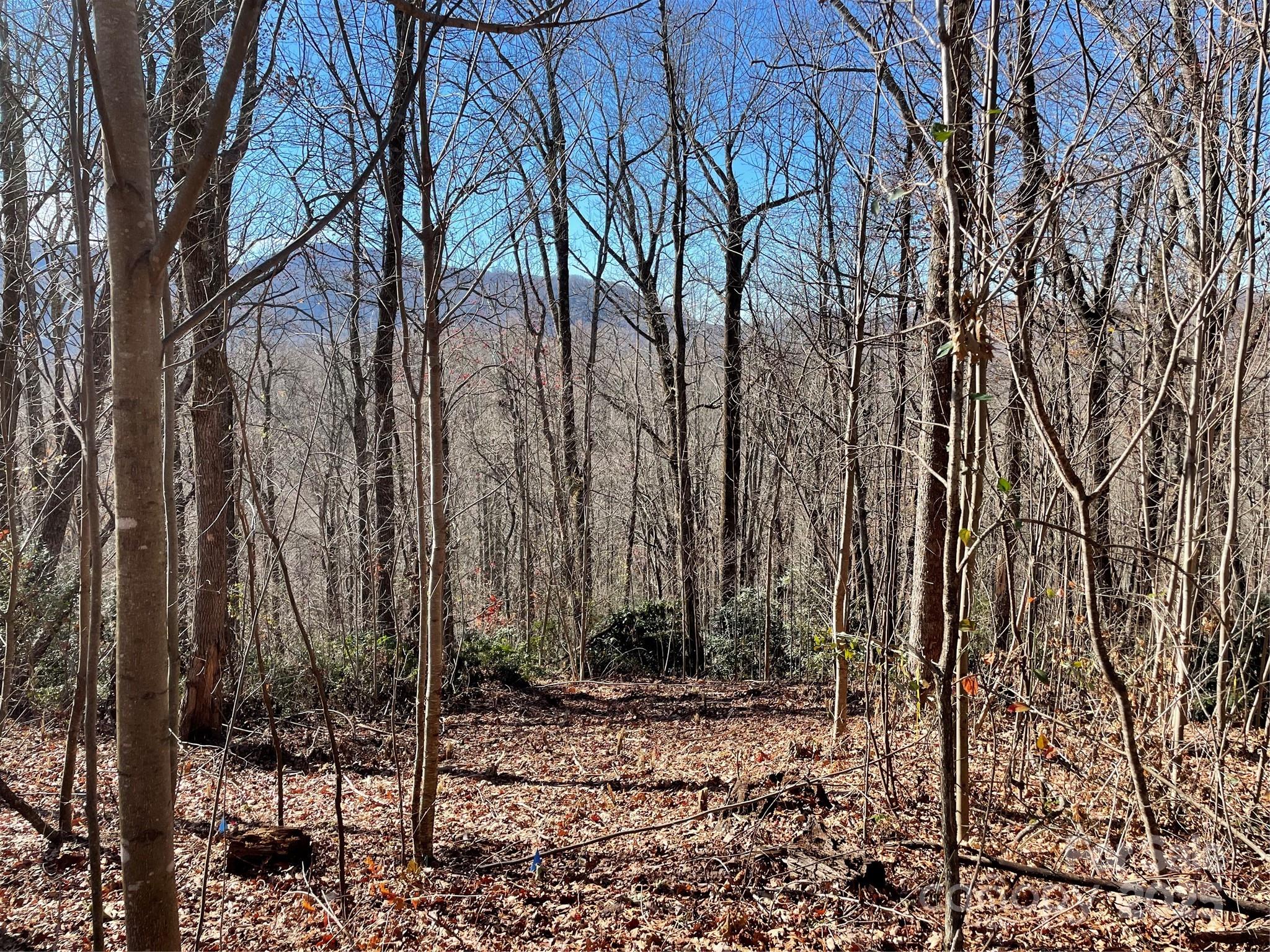 9999-1 Nesbitt Chapel Road Fairview, NC 28730 - Photo 15 of 20