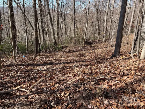 $95,000 | 9999-1 Nesbitt Chapel Road, Fairview, NC 28730