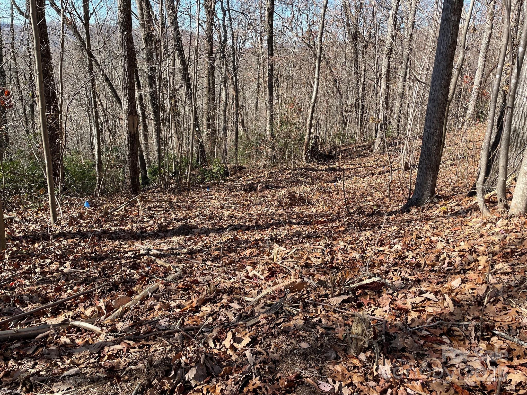 9999-1 Nesbitt Chapel Road Fairview, NC 28730 - Photo 16 of 20