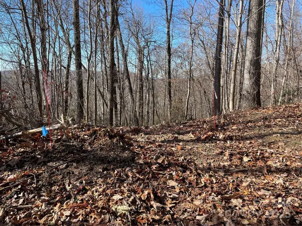 $95,000 | 9999-1 Nesbitt Chapel Road, Fairview, NC 28730