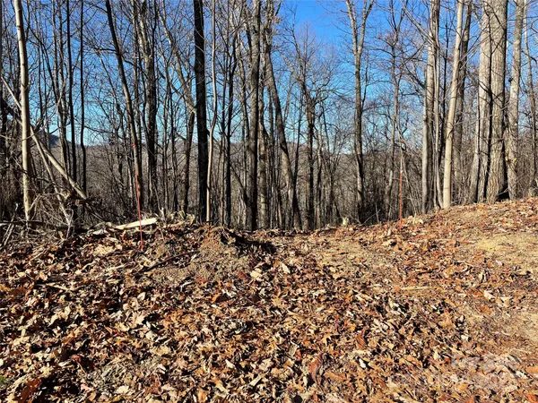 $95,000 | 9999-1 Nesbitt Chapel Road, Fairview, NC 28730