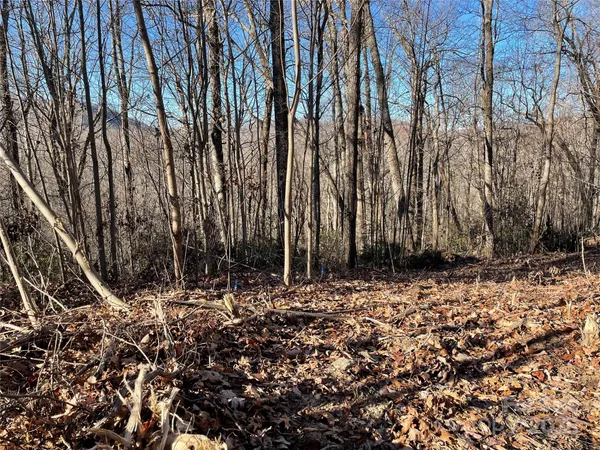 $95,000 | 9999-1 Nesbitt Chapel Road, Fairview, NC 28730