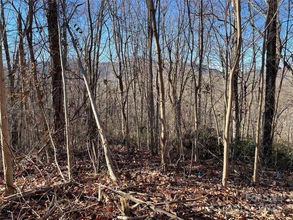 $95,000 | 9999-1 Nesbitt Chapel Road, Fairview, NC 28730