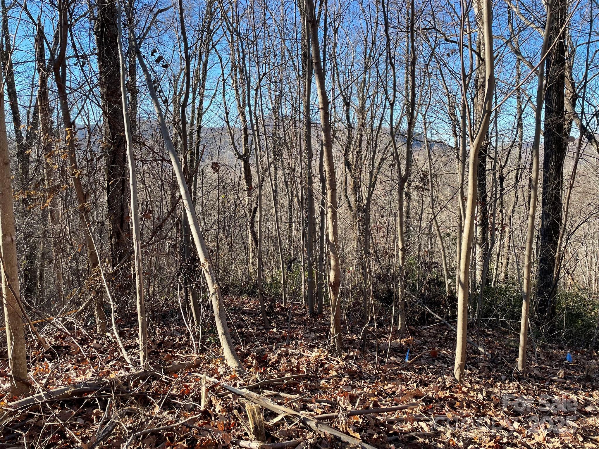 9999-1 Nesbitt Chapel Road Fairview, NC 28730 - Photo 20 of 20