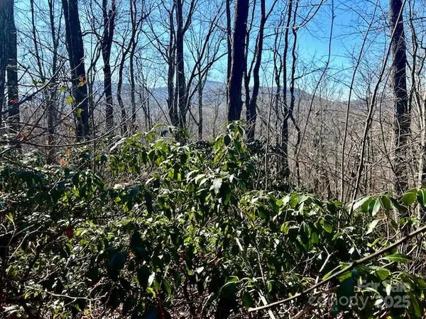 $95,000 | 9999-1 Nesbitt Chapel Road, Fairview, NC 28730