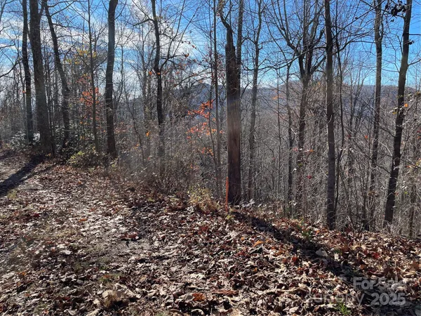 $95,000 | 9999-1 Nesbitt Chapel Road, Fairview, NC 28730