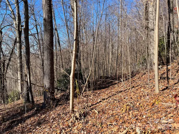 $95,000 | 9999-1 Nesbitt Chapel Road, Fairview, NC 28730