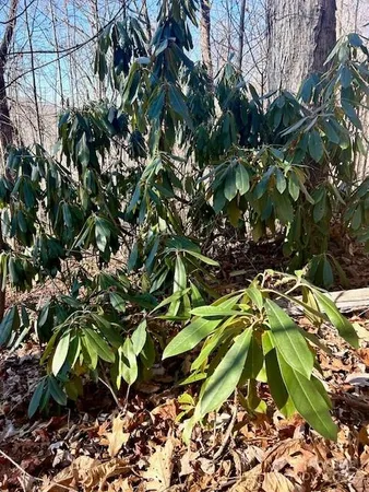 $95,000 | 9999-1 Nesbitt Chapel Road, Fairview, NC 28730