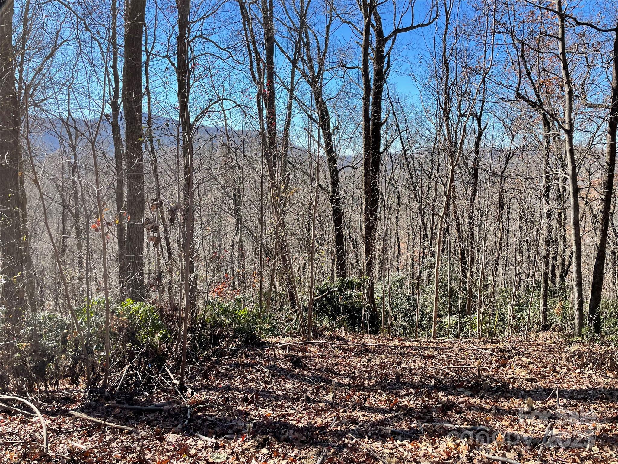 9999-1 Nesbitt Chapel Road Fairview, NC 28730 - Photo 8 of 20