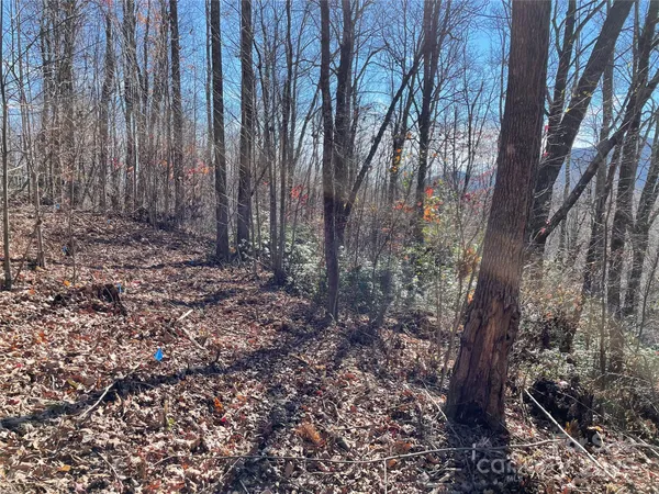 $95,000 | 9999-1 Nesbitt Chapel Road, Fairview, NC 28730