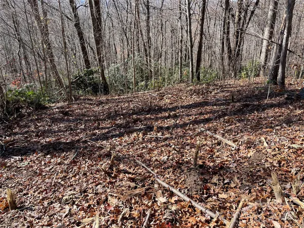 $95,000 | 9999-1 Nesbitt Chapel Road, Fairview, NC 28730