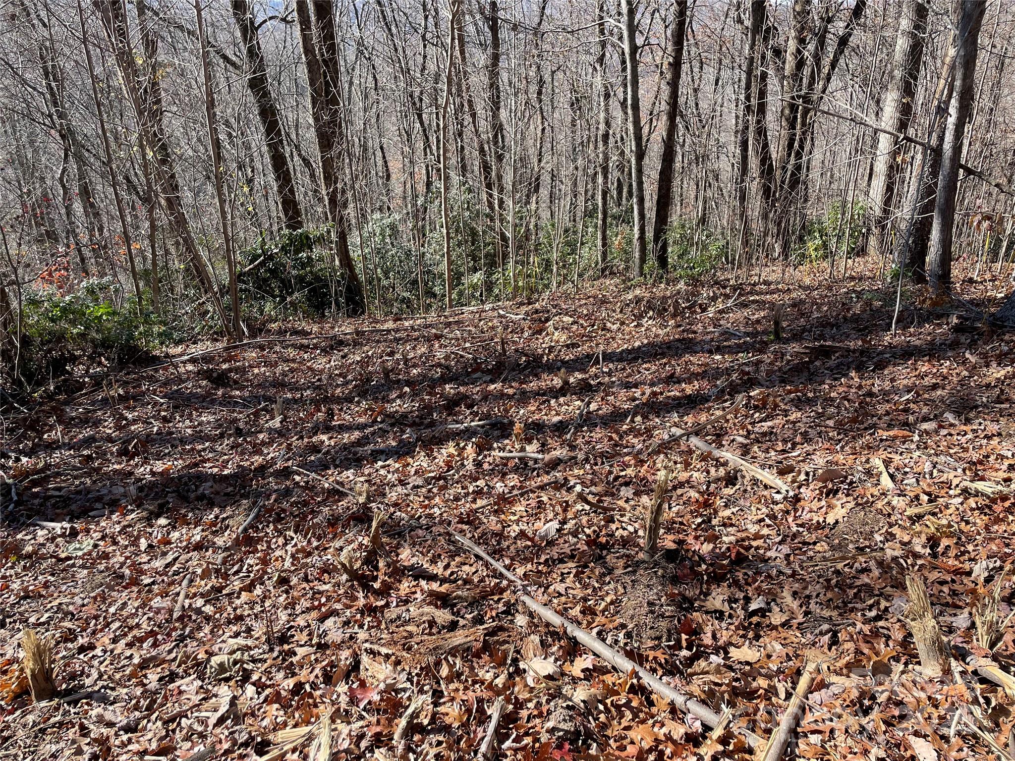 9999-1 Nesbitt Chapel Road Fairview, NC 28730 - Photo 10 of 20