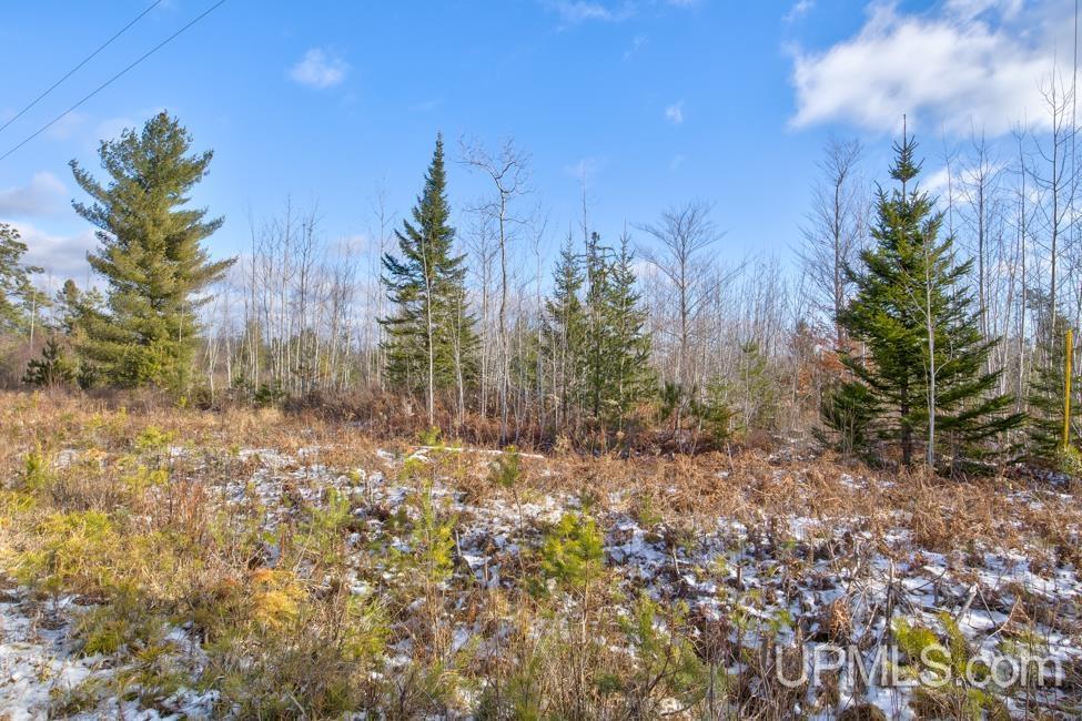 Jimtown Road Stephenson, MI 49887 - Photo 5 of 16