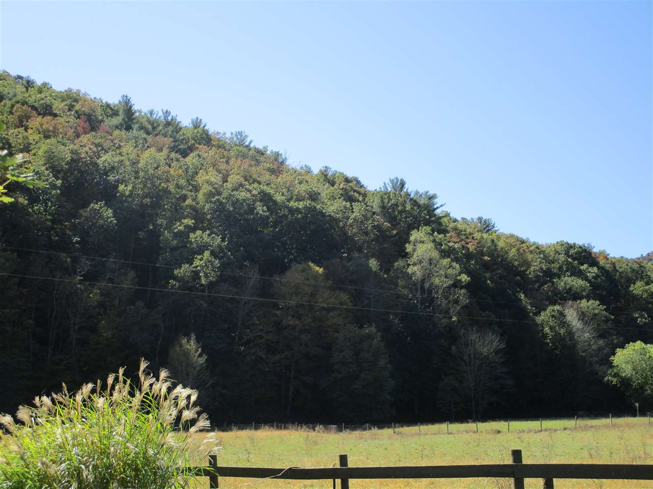 Tbd German River Road Criders, VA 22820 - Photo 3 of 7 a view of a yard
