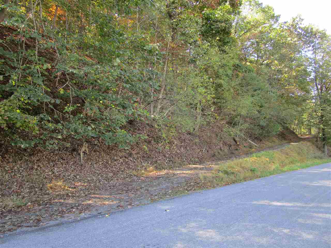 Tbd German River Road Criders, VA 22820 - Photo 6 of 7 a view of a yard with a tree