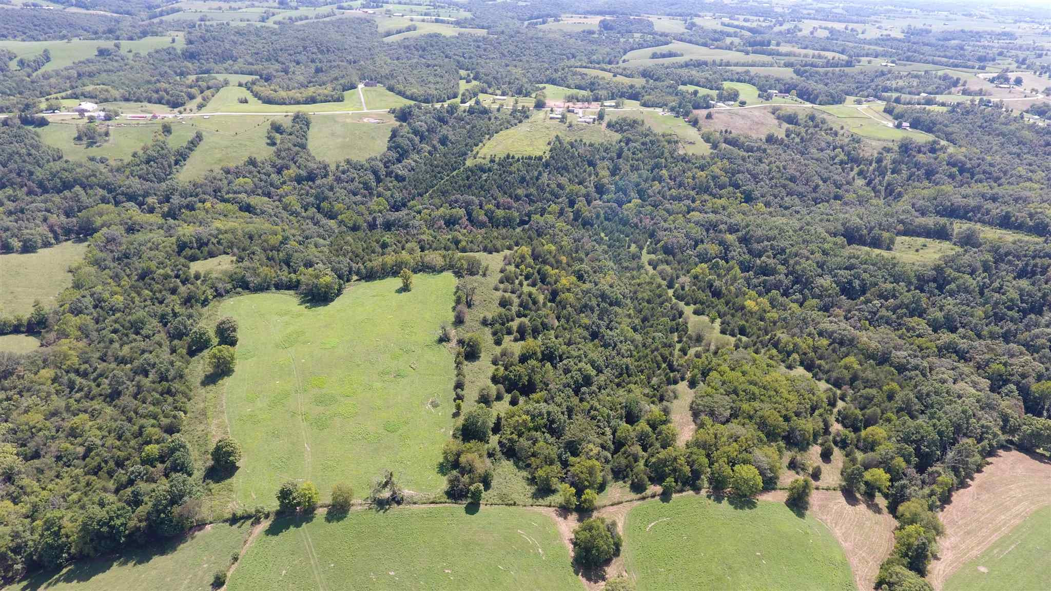 59.02 Acres Stewart Ridge Road Sparta, KY 41086 - Photo 15 of 30